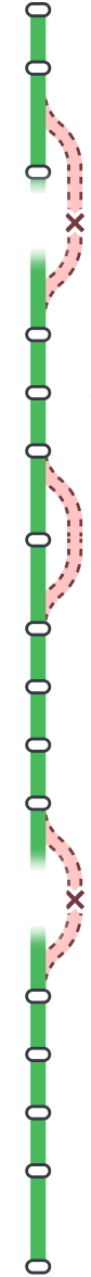 line